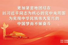 每日一膳 每日一善