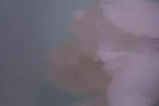 懂你还是爱你（爱你的人不一定懂你）