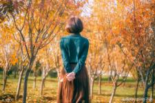 心烦心累怎么发朋友圈（心累心烦的句子说说心情）